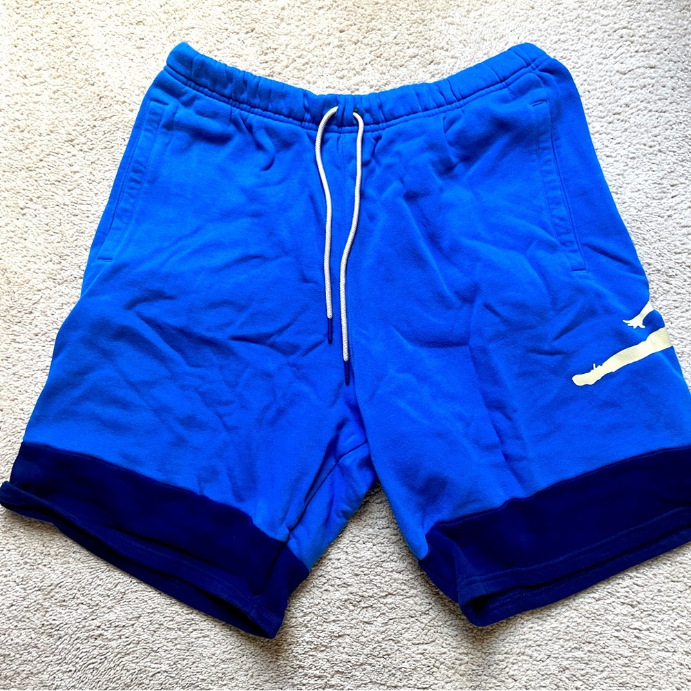 Air Jordan Mens Medium Blue Shorts